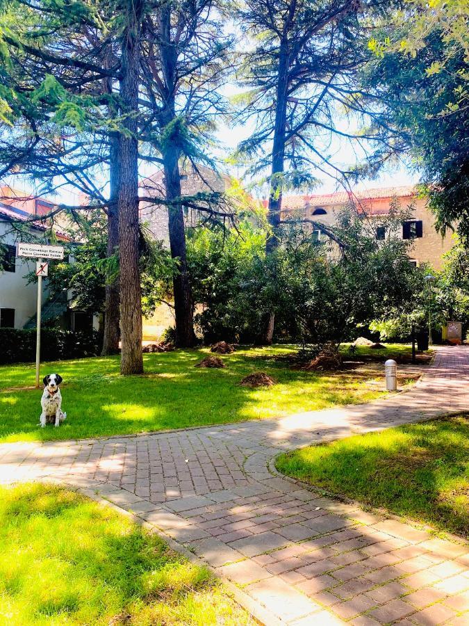 Istria Apartment - 3 Minutes From The Beach Новиград Экстерьер фото